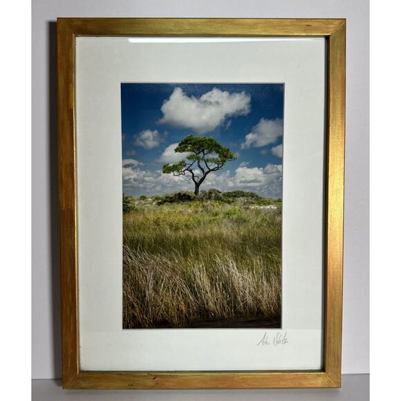 Alex North Print Of Mississippi Gulf Coast Barrier Island Lone Tree Signed - Picture 1 of 3